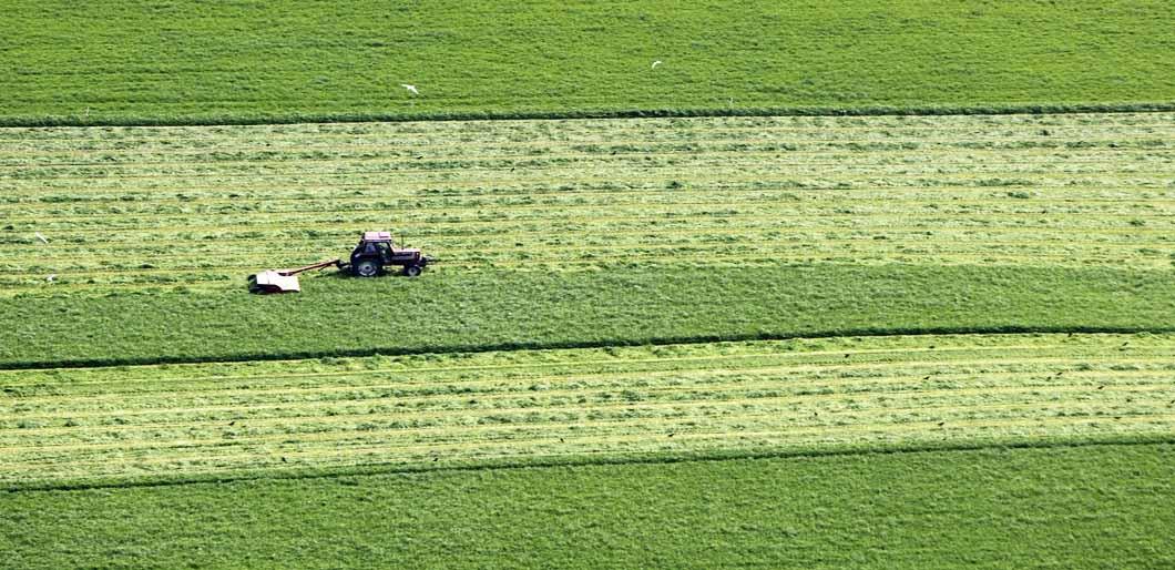 Tractor ploughing the field